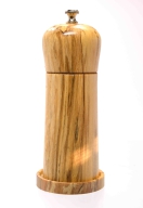 20230907_Spitzahorn gestockt