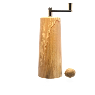 2025_12_13_Birke gestockt Bild 2