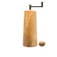 2025_12_13_Birke gestockt Bild 2