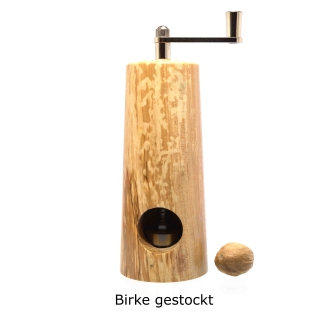 2025_12_13_Birke gestockt