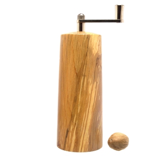 2025_12_13_Erle gestockt