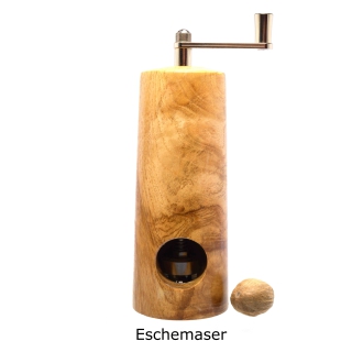 2025_12_13_Eschemaser