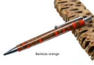 20211024_Banksia orange